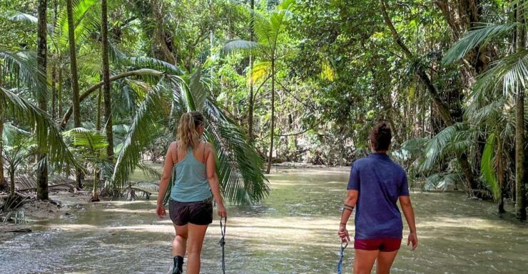 Port Douglas: River Drift Experience in the Daintree - Reservation Information