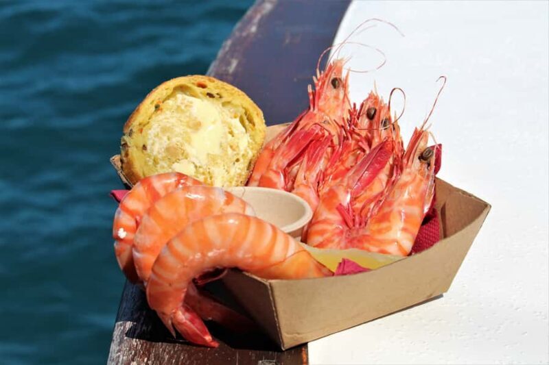 Port Douglas: Shaolin Seafood Lunch Sail, with Fresh Prawns - Is This Tour Right for You?
