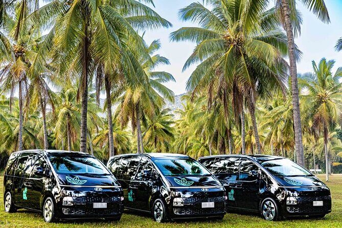 Port Douglas to/from Cairns RETURN TRIP Private Transfer 6 pax - Good To Know