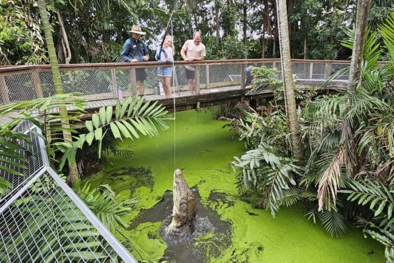 Port Douglas: Wildlife Habitat Croc Feed Experience & Entry - Good To Know