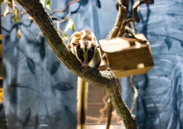 Port Douglas: Wildlife Habitat Entrance Ticket - Booking Process and Requirements