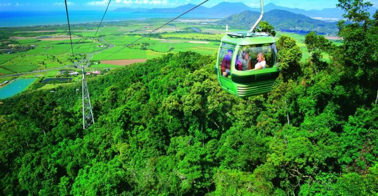 Port Douglas: World Heritage Forest by Skyrail & Scenic Rail - Activity Details