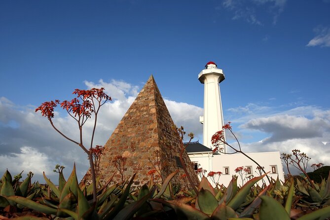 Port Elizabeth Safari and City Tour From Gqeberha - Tour Highlights
