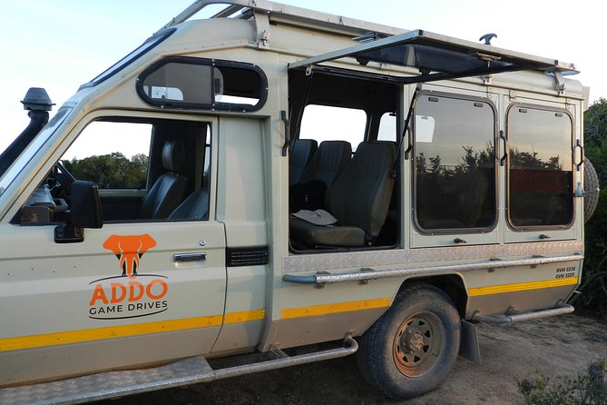Port Elizabeth Shore Excursion: Addo Elephant Full Day Safari &"Braai"Lunch(BBQ) - Tour Reviews and Ratings
