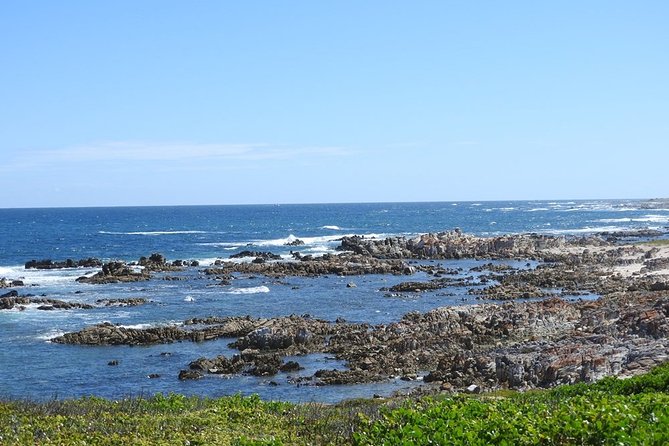 Port Elizabeth Wildside Scenic Drive - FD17 - Must-See Attractions and Landmarks