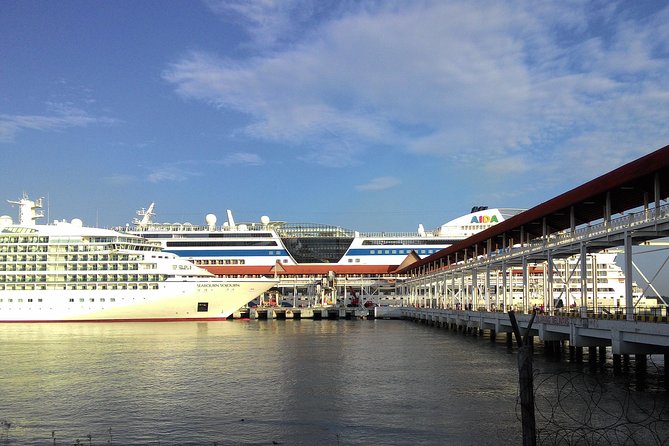Port Klang Cruise To KL City Tour With KLTower Ticket & Batu Cave - Good To Know