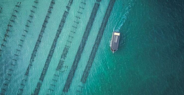 Port Lincoln: Coffin Bay Seafood, Wine, and Nature Day Trip - Experience Highlights