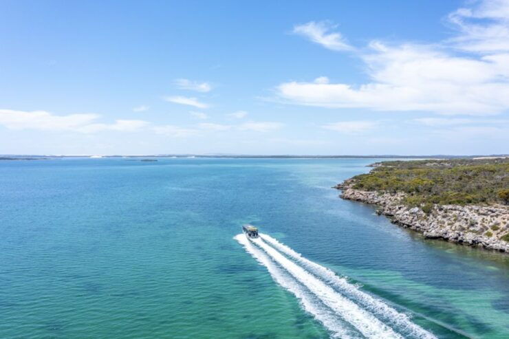 Port Lincoln: Coffin Bay Seafood, Wine, and Nature Day Trip - Experience Highlights