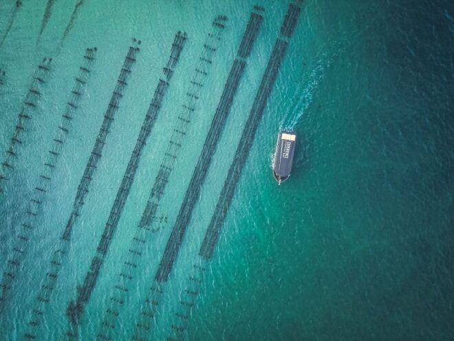 Port Lincoln: Coffin Bay Seafood, Wine, and Nature Day Trip - Full Description