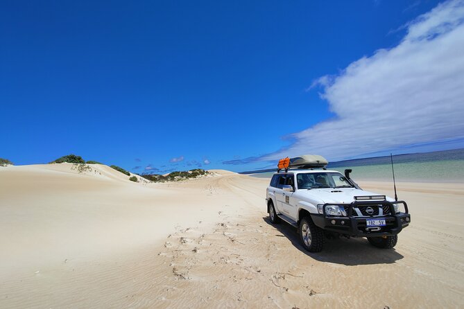 Port Lincoln Full-day Exploration Tour - Pricing and Options