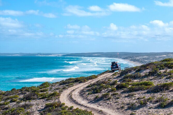Port Lincoln National Park Half day Tour - Who Is This Tour Best For?  