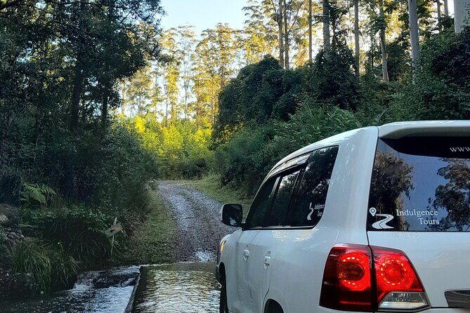 Port Macquarie day tour to Ellenborough Falls & Comboyne Rock - Who Is This Tour Best For?