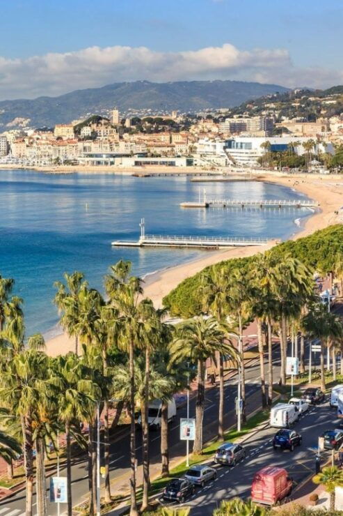 Port of Cannes : Personalized Private Tour - Tour Highlights