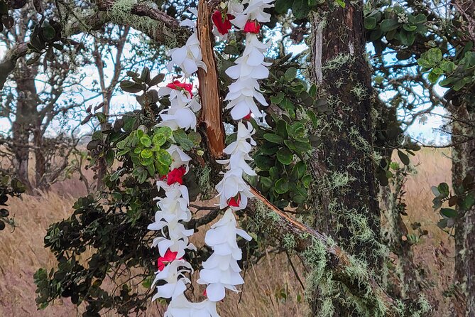 Port of Hilo to Volcano Tour - Itinerary Highlights