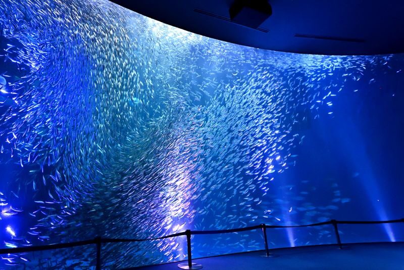 Port of Nagoya Public Aquarium Ticket - Start with the North Building’s marine mammals