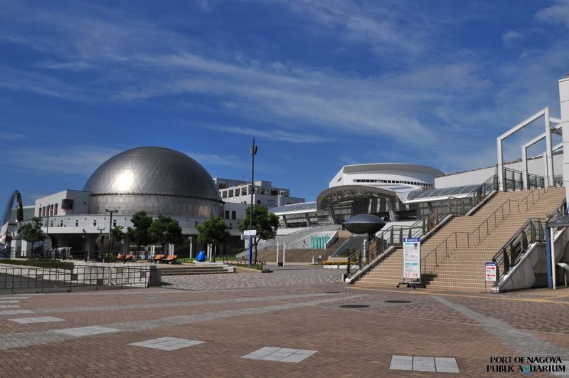 Port of Nagoya Public Aquarium Ticket - Watch the dolphin program, but choose your seat early