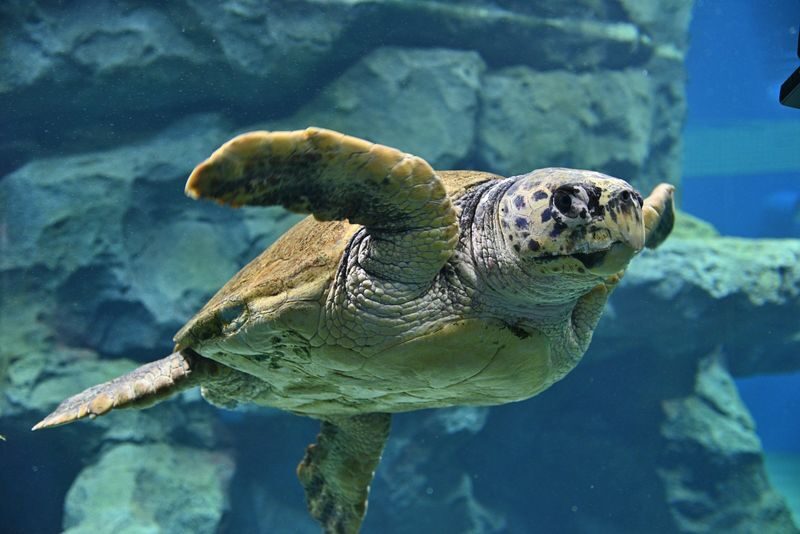 Port of Nagoya Public Aquarium Ticket - Set aside 3 to 4 hours, and keep your plan flexible