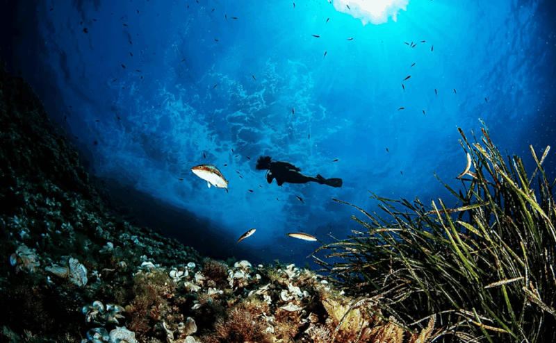 Port of Soller: Train and Discover Scuba Diving - Key Points