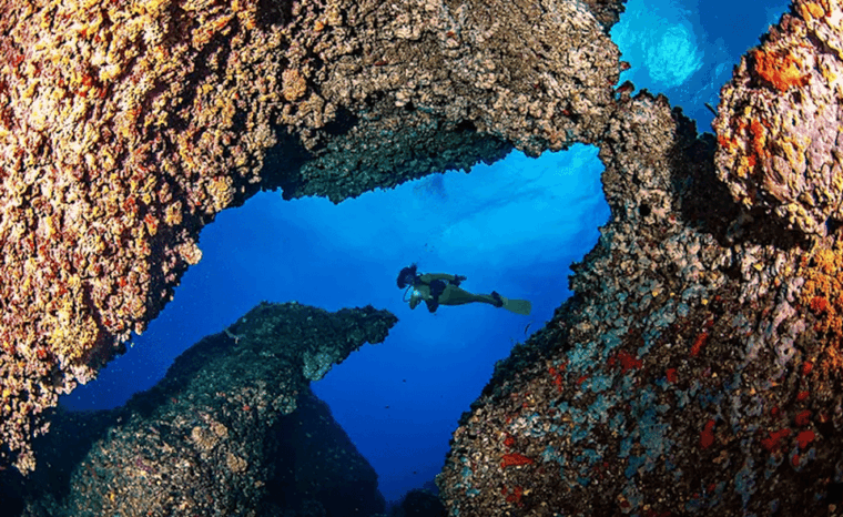 Port of Soller: Train and Discover Scuba Diving - Discover the Wonders of Scuba Diving