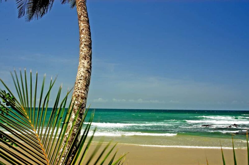 Port of Spain: Coastal Tour of Trinidad - Good To Know