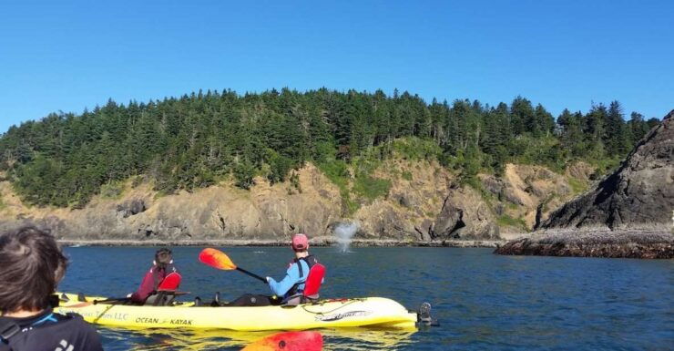 Port Orford: Kayak Tour to Orford Heads With Gear - Activity Information