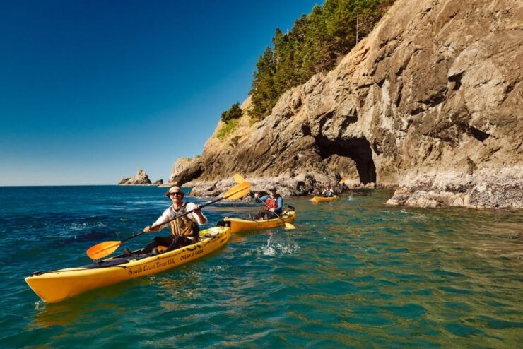 Port Orford: Kayak Tour to Orford Heads With Gear - Experience Highlights