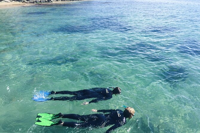 Port Phillip Bay Snorkeling With Sea Dragons - Cancellation Policy