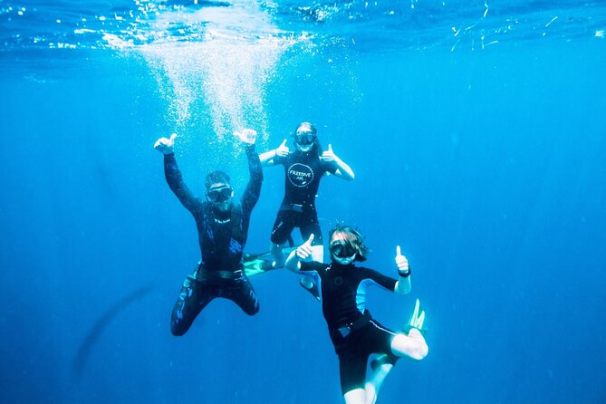 Port Phillip Bay Snorkeling With Sea Dragons - Common Questions