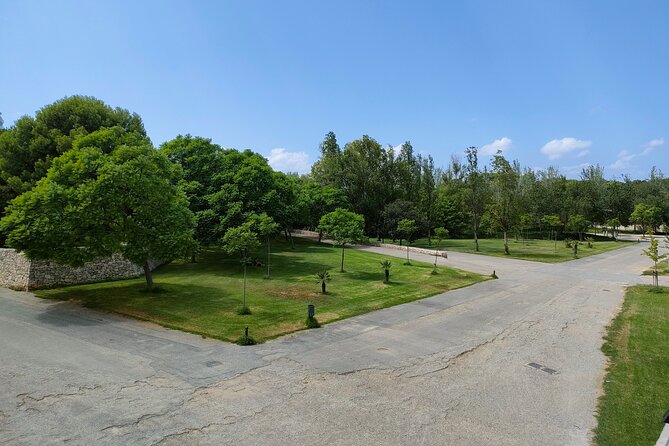 Port Saplaya Bike Private Tour - Highlights