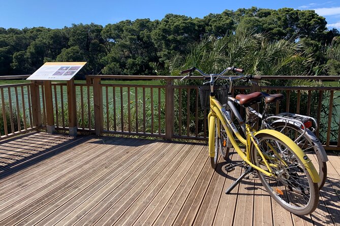 Port Saplaya Private Bike Tour - Pricing and Terms