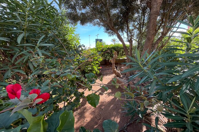 Port Saplaya Private Bike Tour - Common Questions