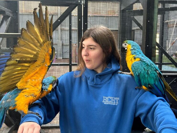 Port Stephens Animal Adventures: MEGA Ticket - Unforgettable Animal Interactions Included