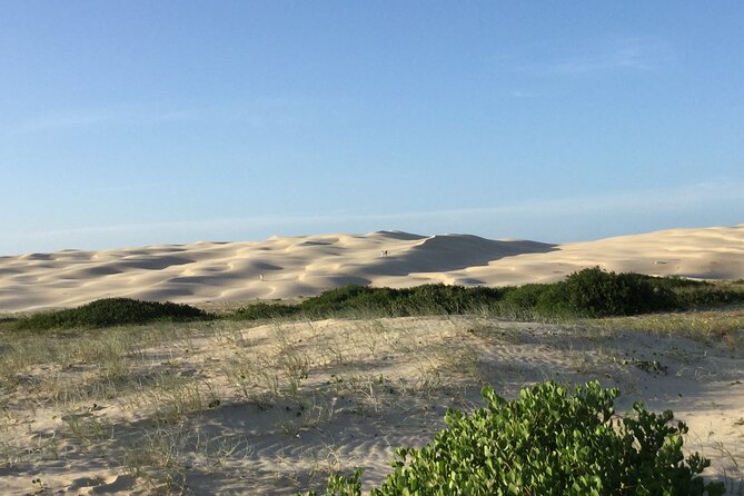 Port Stephens, Beach and Sand Dune 4WD Tag-Along Tour - Additional Information