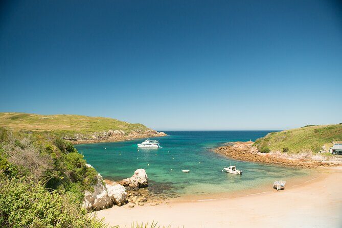 Port Stephens: Broughton Island Cruise - Good To Know