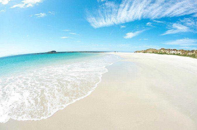 Port Stephens: Broughton Island Cruise - The Sum Up: Is This Tour Right for You?