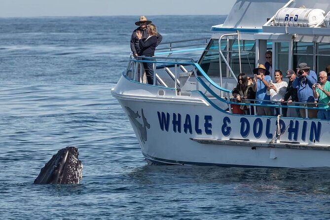 Port Stephens, departing Newcastle - Whales, hike & sand dunes! - Final Thoughts