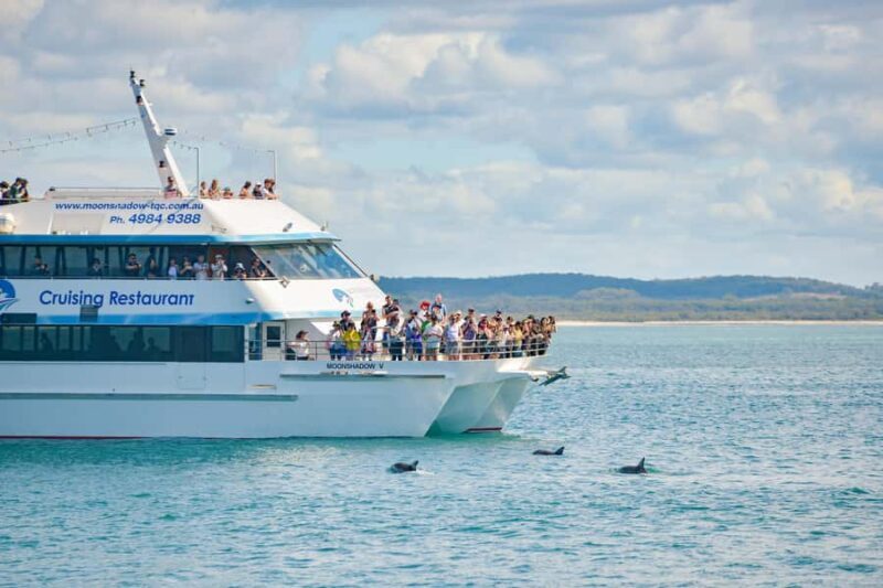 Port Stephens: Dolphin Discovery Cruise - Practical Tips for Travelers