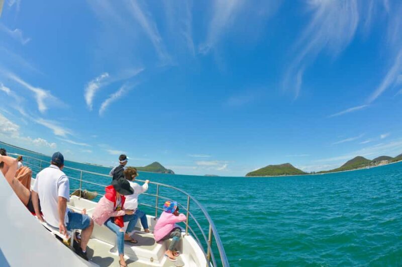 Port Stephens: Dolphin Discovery Cruise - The Sum Up
