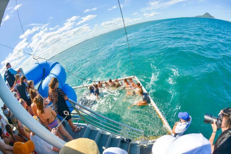 Port Stephens: Dolphin Discovery Cruise - FAQ