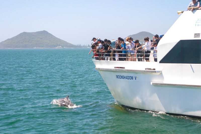 Port Stephens: Dolphin Discovery Cruise - Booking and arrival details