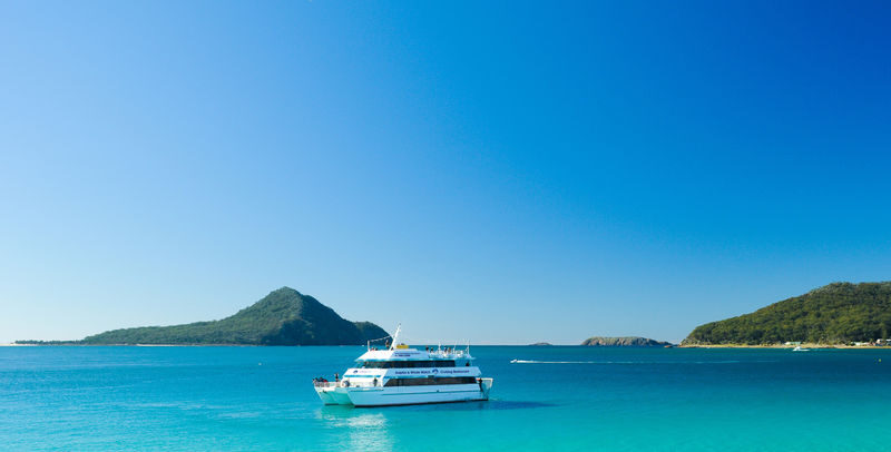 Port Stephens: Dolphin Discovery Cruise - Should you book it?