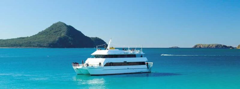 Port Stephens: Dolphin, Lunch, Koalas&Sandboarding -Mandarin - The Sum Up