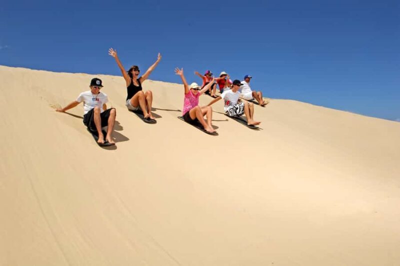 Port Stephens: Dolphin, Lunch, Koalas&Sandboarding(Japanese) - Good To Know