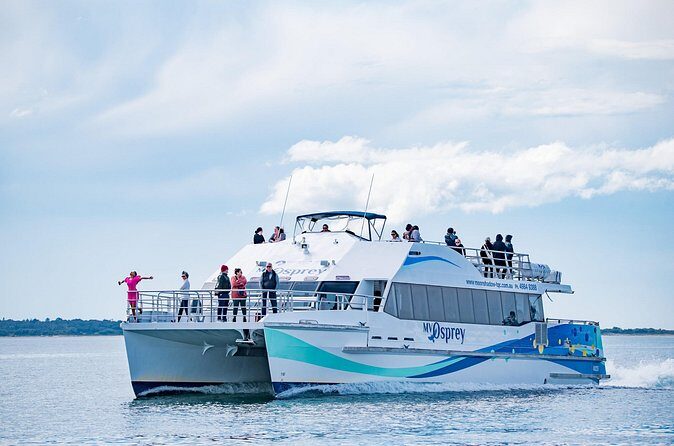 Port Stephens: Dolphin Watch Eco Adventure - Pricing and Value: Is It Worth It?