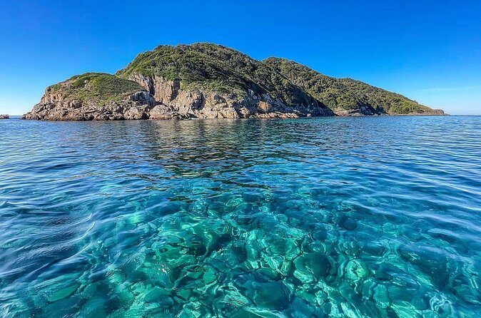 Port Stephens: Dolphin Watch Eco Adventure - The Sum Up: Who Will Love This Dolphin Tour?