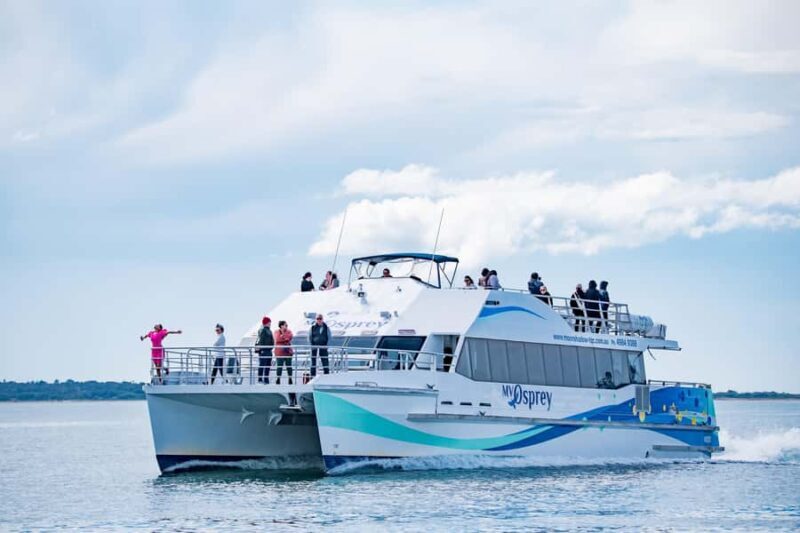 Port Stephens: Dolphin Watch & Eco Adventure - A Detailed Look at the Tour Experience