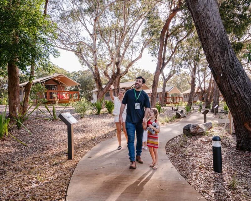 Port Stephens: Koala Sanctuary General Admission Ticket - An In-depth Look at the Port Stephens Koala Sanctuary