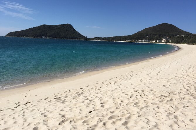 Port Stephens Private Tour From Sydney, With Dolphin/ Whale Cruise Options - Additional Information
