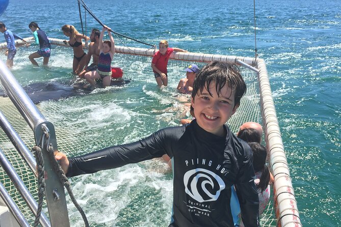 Port Stephens Private Tour From Sydney, With Dolphin/ Whale Cruise Options - The Sum Up