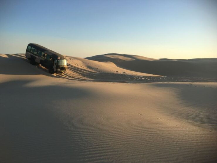 Port Stephens: Sandboarding & Sandsurfing With 4WD Transfer - Free Cancellation and Flexible Booking Options
